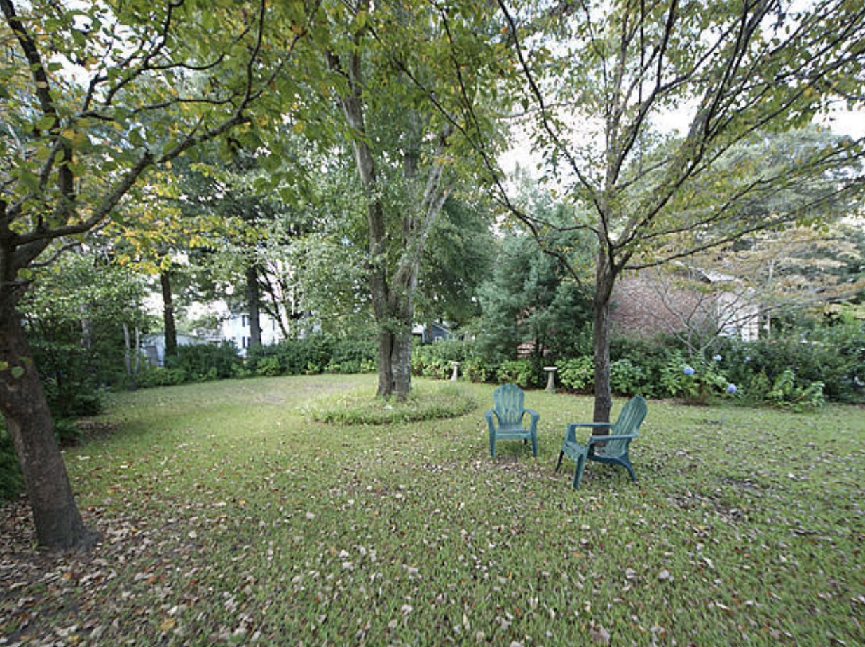 Backyard before